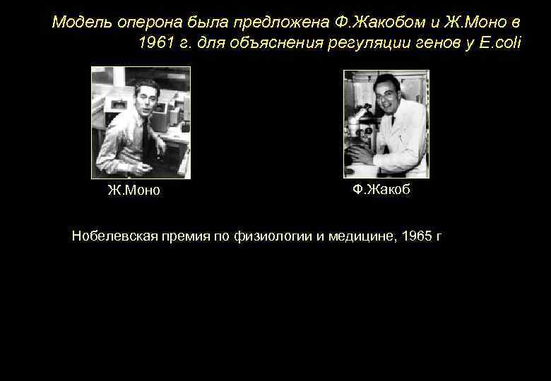 Модель оперона была предложена Ф. Жакобом и Ж. Моно в 1961 г. для объяснения