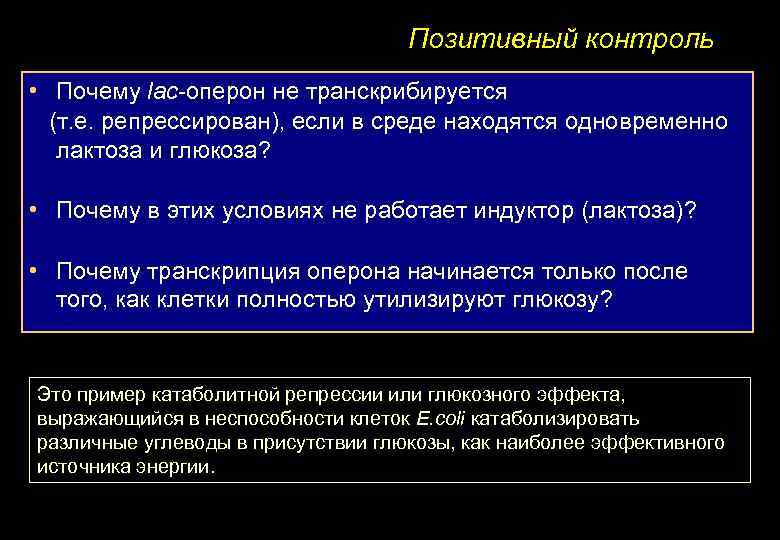 Позитивный контроль • Почему lac-оперон не транскрибируется (т. е. репрессирован), если в среде находятся