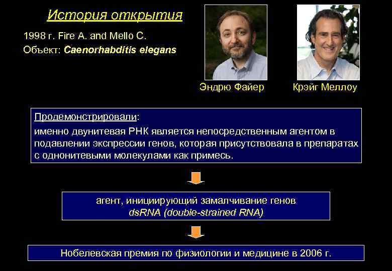 История открытия 1998 г. Fire A. and Mello C. Объект: Caenorhabditis elegans Эндрю Файер