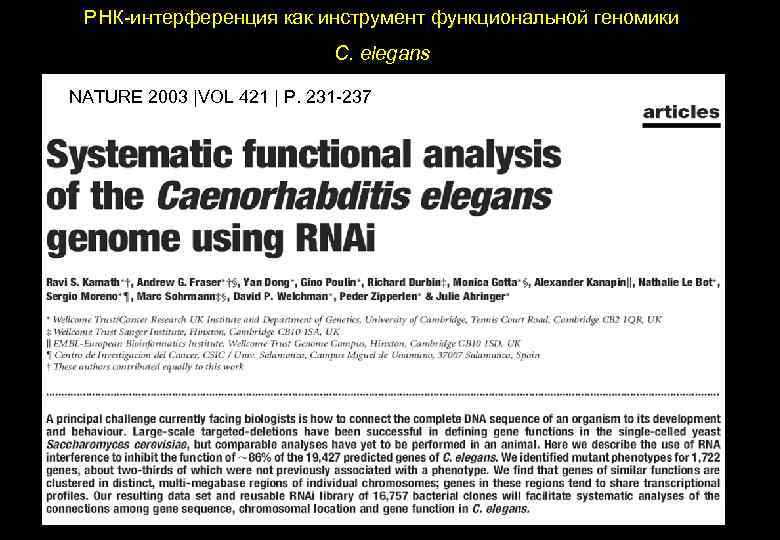 РНК-интерференция как инструмент функциональной геномики C. elegans NATURE 2003 |VOL 421 | Р. 231