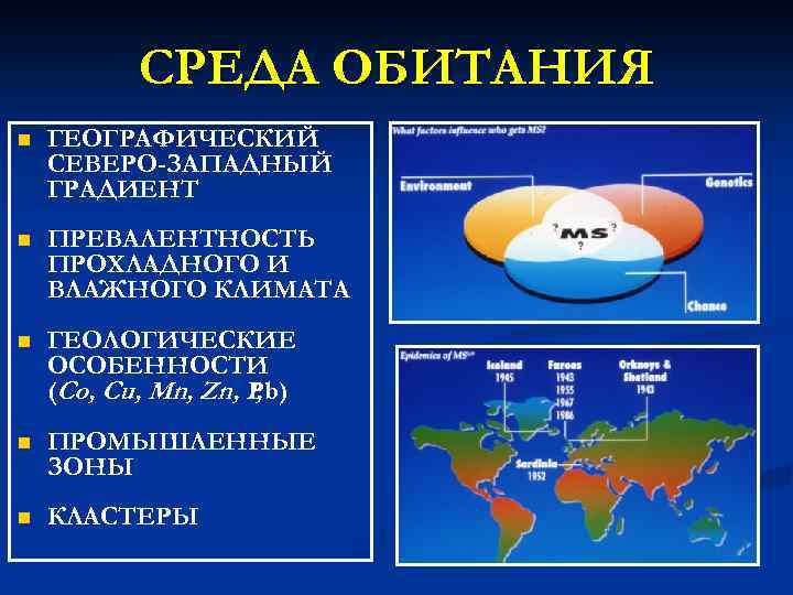 СРЕДА ОБИТАНИЯ n ГЕОГРАФИЧЕСКИЙ СЕВЕРО-ЗАПАДНЫЙ ГРАДИЕНТ n ПРЕВАЛЕНТНОСТЬ ПРОХЛАДНОГО И ВЛАЖНОГО КЛИМАТА n ГЕОЛОГИЧЕСКИЕ