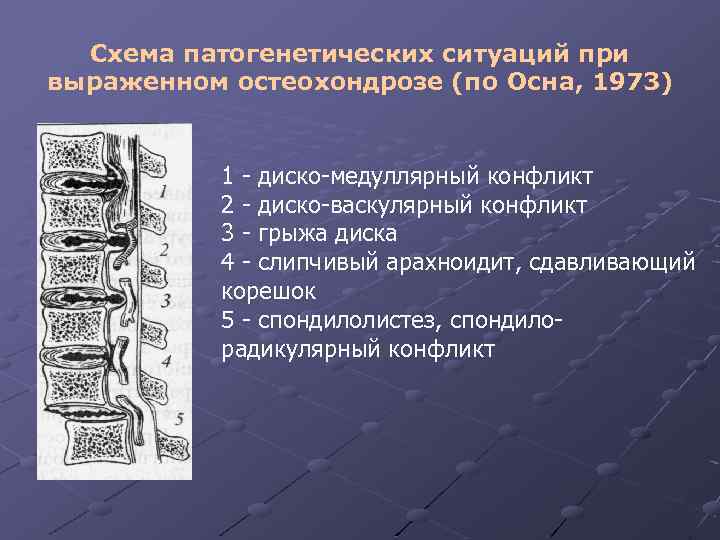 Схема патогенетических ситуаций при выраженном остеохондрозе (по Осна, 1973) 1 - диско-медуллярный конфликт 2