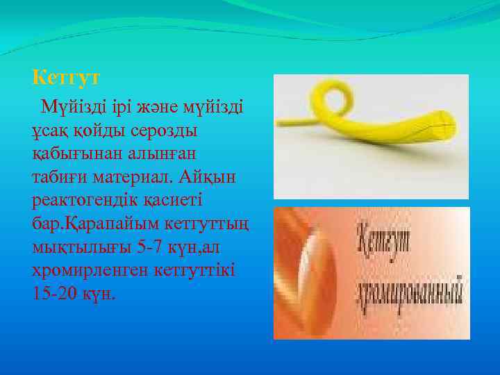 Кетгут Мүйізді ірі және мүйізді ұсақ қойды серозды қабығынан алынған табиғи материал. Айқын реактогендік