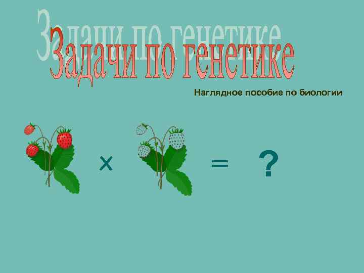 Наглядное пособие по биологии Х = ? 