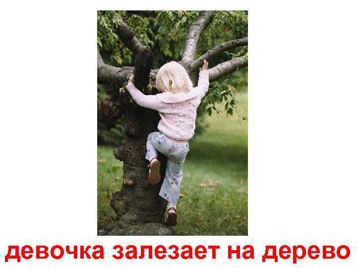 девочка залезает на дерево 