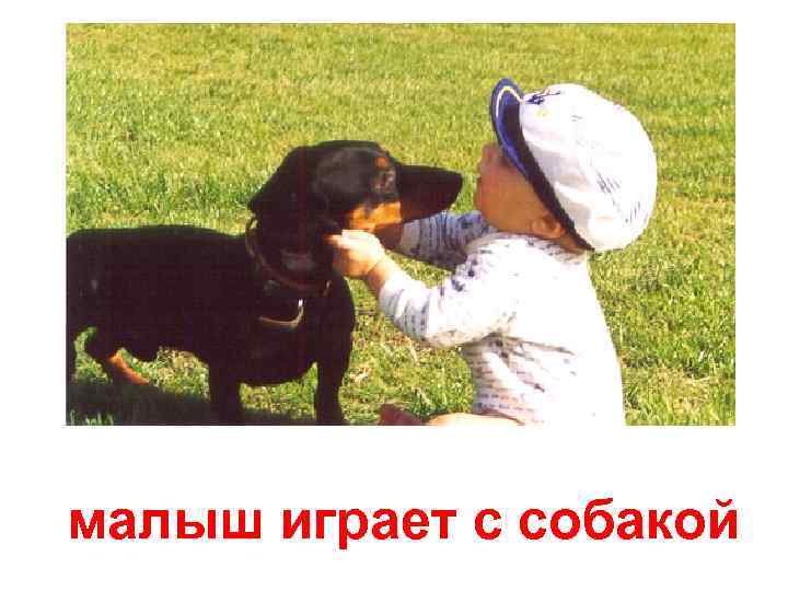 малыш играет с собакой 