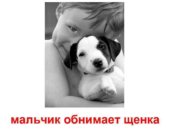мальчик обнимает щенка 
