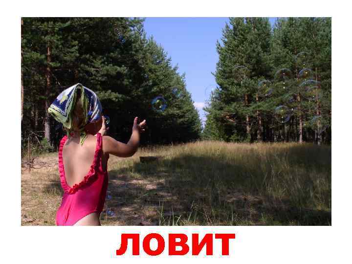 ловит 