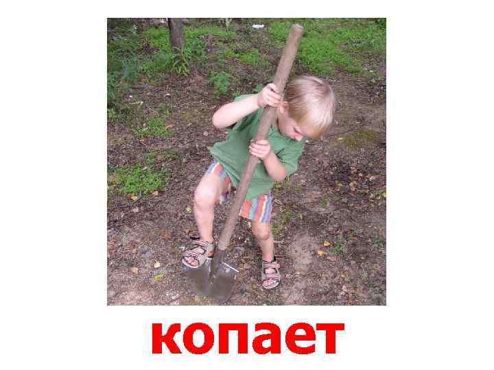 копает 