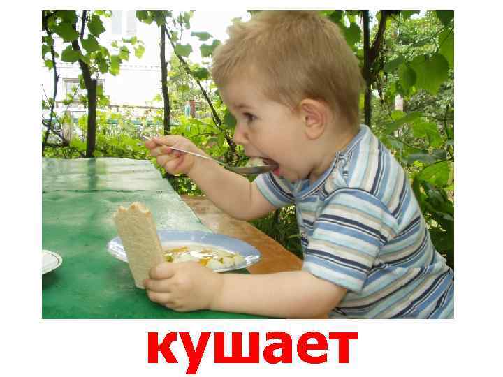 кушает 