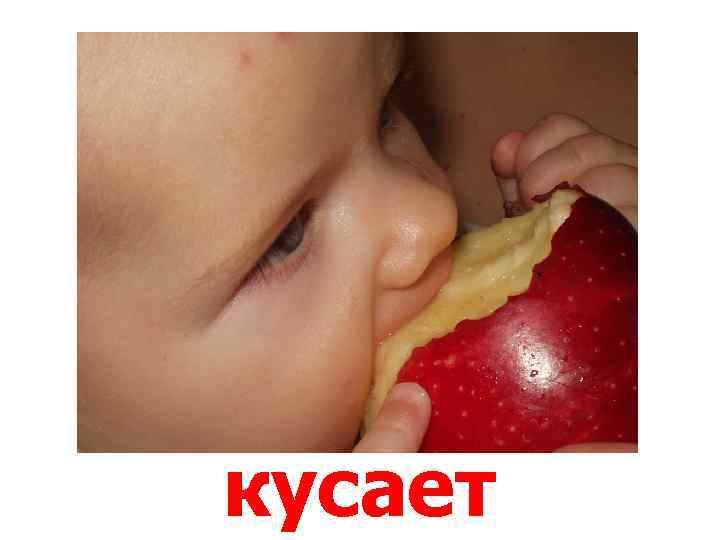 кусает 