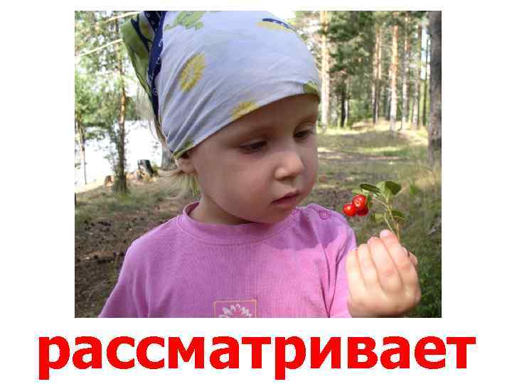 рассматривает 