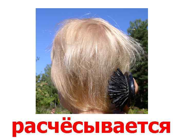 расчёсывается 