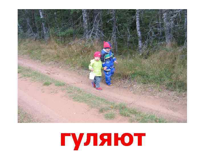 гуляют 