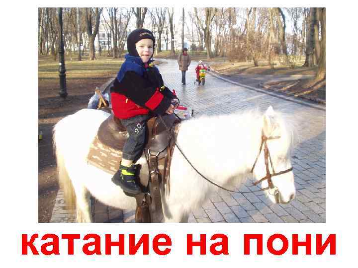катание на пони 