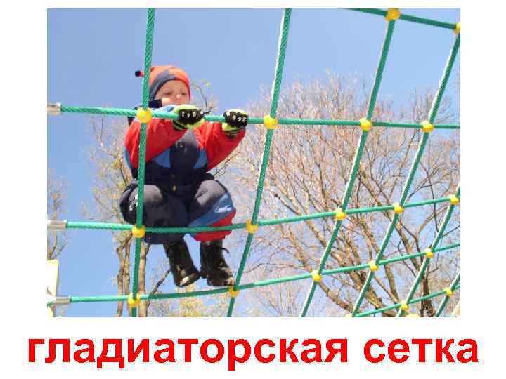 гладиаторская сетка 