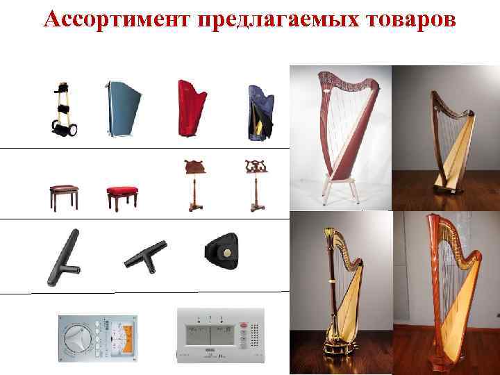 Ассортимент предлагаемых товаров 