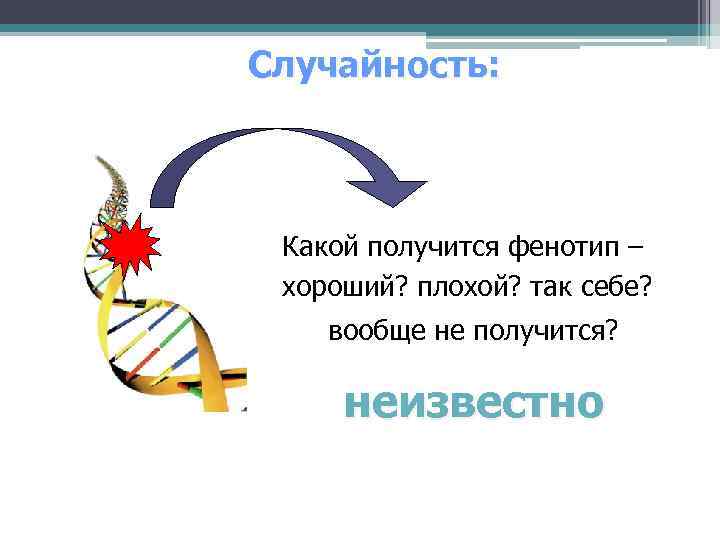 Случайность: Какой получится фенотип – хороший? плохой? так себе? вообще не получится? неизвестно 