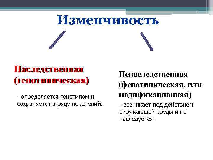 Выявление наследственных и ненаследственных признаков у растений