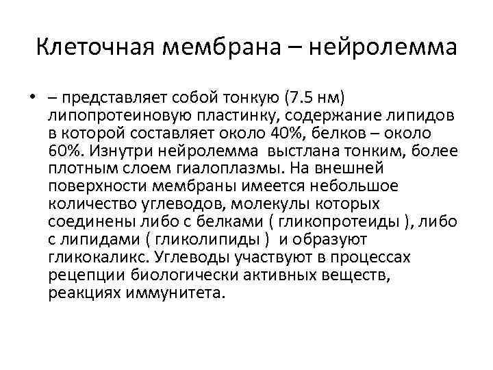 Клеточная мембрана – нейролемма • – представляет собой тонкую (7. 5 нм) липопротеиновую пластинку,
