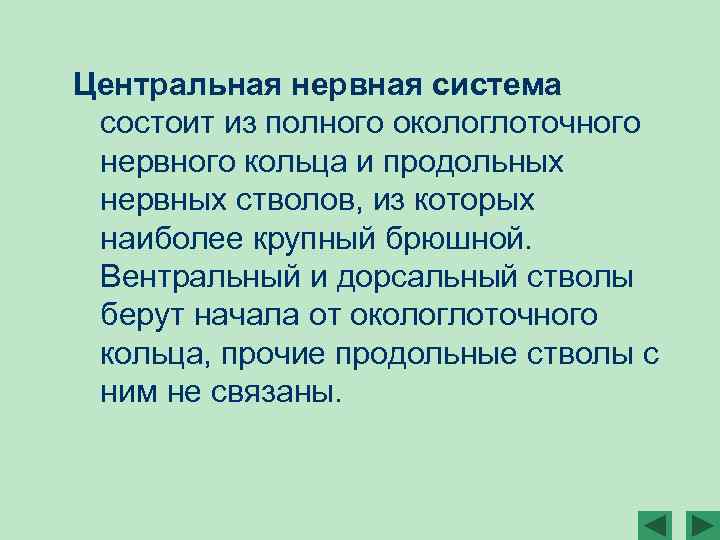 Центральная нервная система состоит из полного окологлоточного нервного кольца и продольных нервных стволов, из