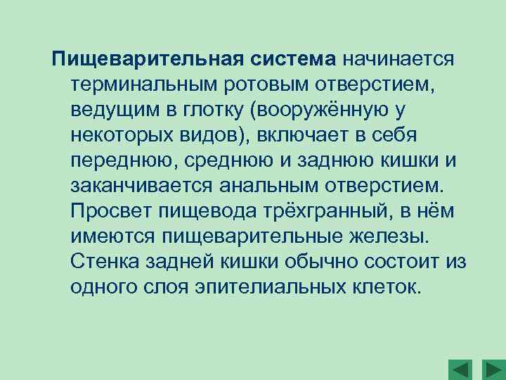Пищеварительная система начинается терминальным ротовым отверстием, ведущим в глотку (вооружённую у некоторых видов), включает