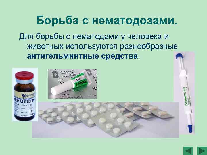 Борьба с нематодозами. Для борьбы с нематодами у человека и животных используются разнообразные антигельминтные