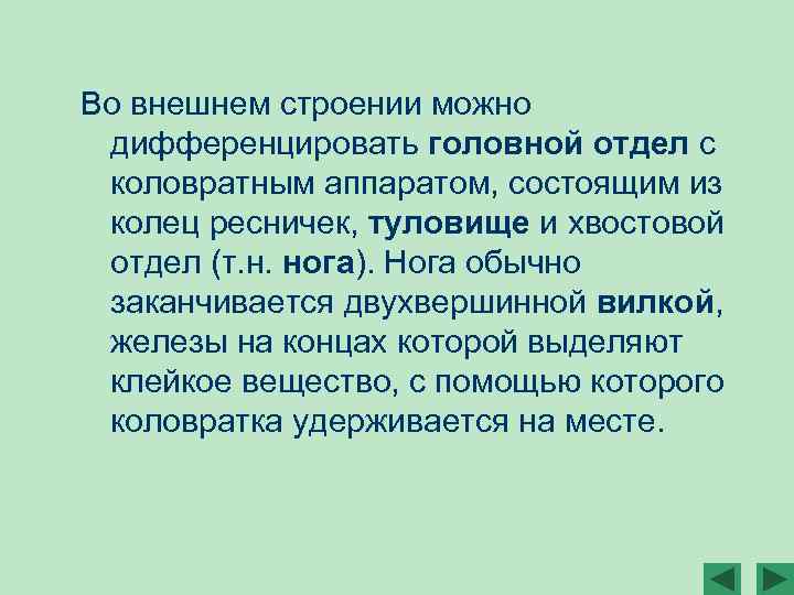Во внешнем строении можно дифференцировать головной отдел с коловратным аппаратом, состоящим из колец ресничек,