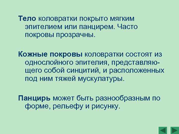 Тело коловратки покрыто мягким эпителием или панцирем. Часто покровы прозрачны. Кожные покровы коловратки состоят