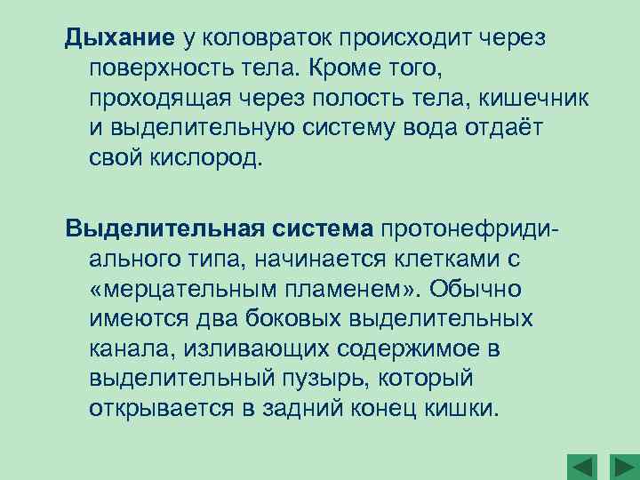 Дыхание у коловраток происходит через поверхность тела. Кроме того, проходящая через полость тела, кишечник