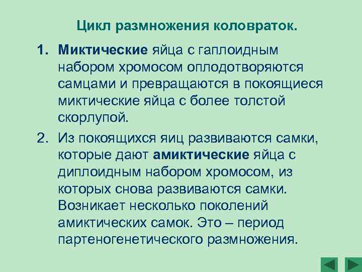 Цикл размножения коловраток. 1. Миктические яйца с гаплоидным набором хромосом оплодотворяются самцами и превращаются
