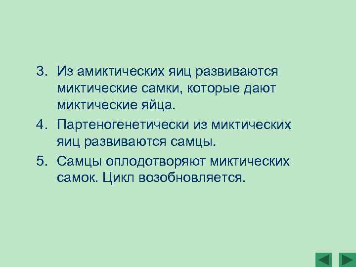 3. Из амиктических яиц развиваются миктические самки, которые дают миктические яйца. 4. Партеногенетически из