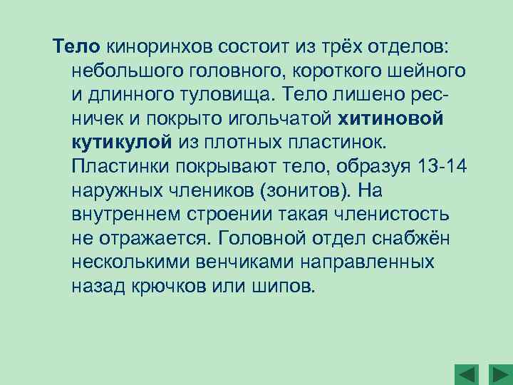 Тело киноринхов состоит из трёх отделов: небольшого головного, короткого шейного и длинного туловища. Тело