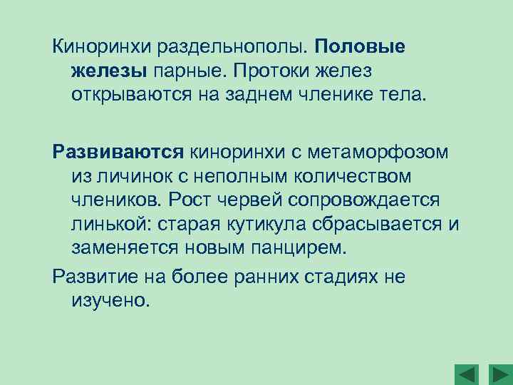 Киноринхи раздельнополы. Половые железы парные. Протоки желез открываются на заднем членике тела. Развиваются киноринхи
