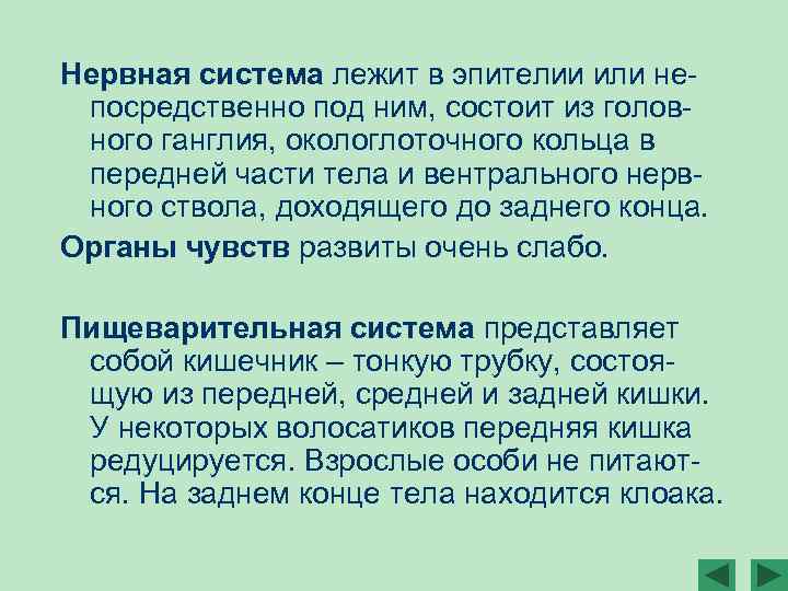 Нервная система лежит в эпителии или непосредственно под ним, состоит из головного ганглия, окологлоточного