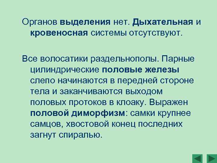 Органов выделения нет. Дыхательная и кровеносная системы отсутствуют. Все волосатики раздельнополы. Парные цилиндрические половые