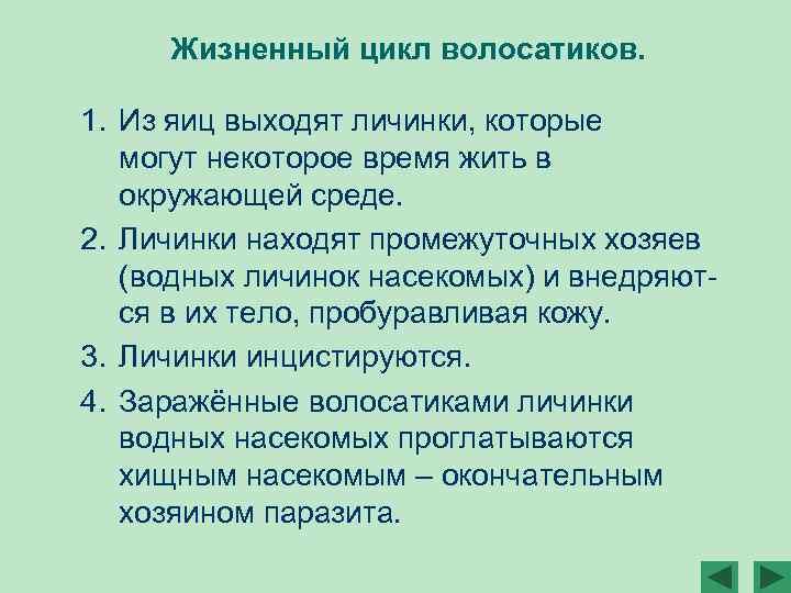 Жизненный цикл волосатиков. 1. Из яиц выходят личинки, которые могут некоторое время жить в