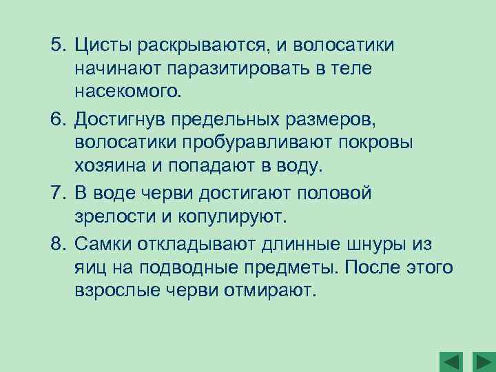 5. Цисты раскрываются, и волосатики начинают паразитировать в теле насекомого. 6. Достигнув предельных размеров,