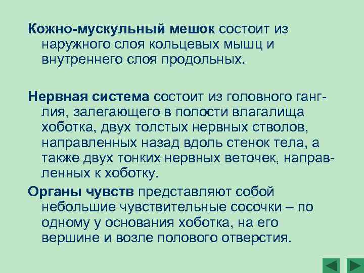 Кожно-мускульный мешок состоит из наружного слоя кольцевых мышц и внутреннего слоя продольных. Нервная система