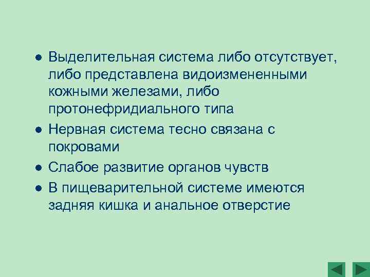 l l Выделительная система либо отсутствует, либо представлена видоизмененными кожными железами, либо протонефридиального типа