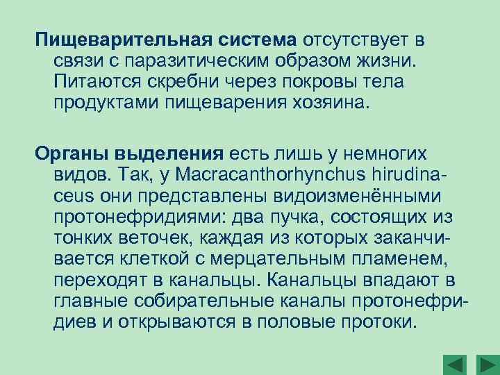 Пищеварительная система отсутствует в связи с паразитическим образом жизни. Питаются скребни через покровы тела