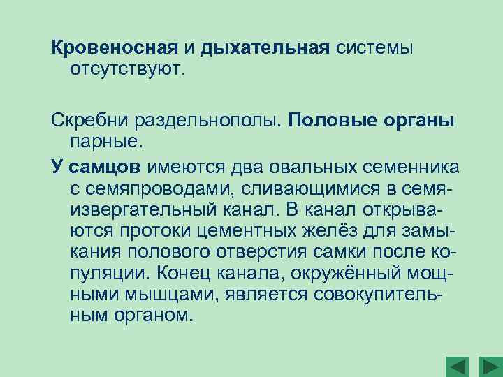 Кровеносная и дыхательная системы отсутствуют. Скребни раздельнополы. Половые органы парные. У самцов имеются два