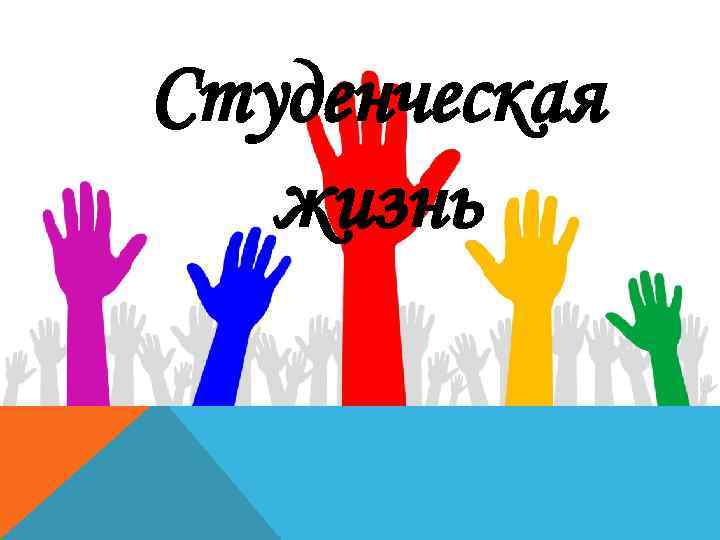 Студенческая жизнь 