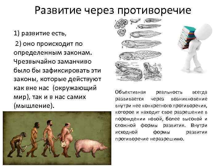 Развитие через противоречие 1) развитие есть, 2) оно происходит по определенным законам. Чрезвычайно заманчиво