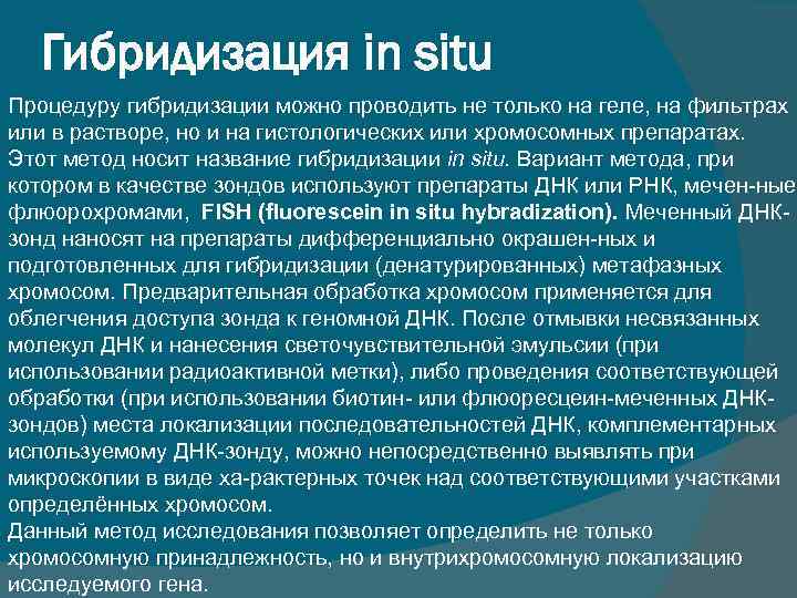 Гибридизация in situ Процедуру гибридизации можно проводить не только на геле, на фильтрах или