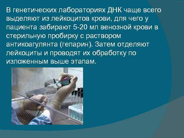 В генетических лабораториях ДНК чаще всего выделяют из лейкоцитов крови, для чего у пациента