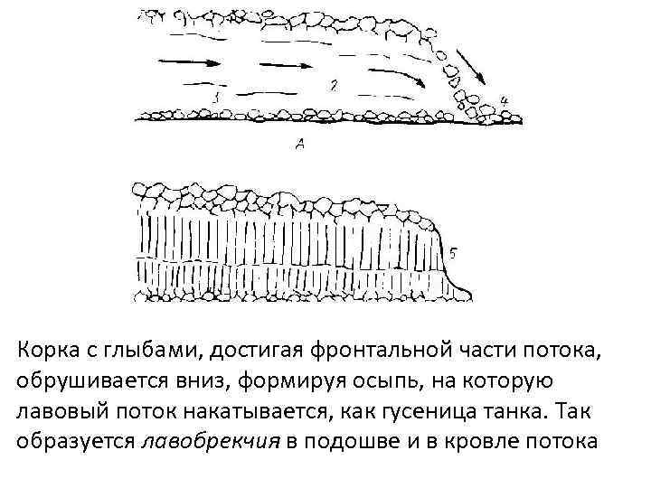 Каково строение лавовых потоков в плане и разрезе