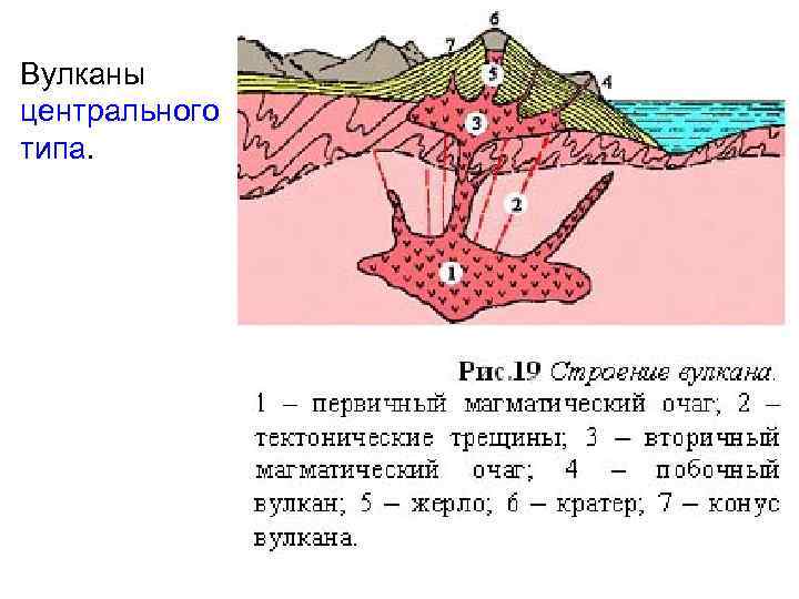 Вулканы центрального типа. 