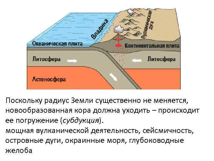 Поскольку радиус Земли существенно не меняется, новообразованная кора должна уходить – происходит ее погружение