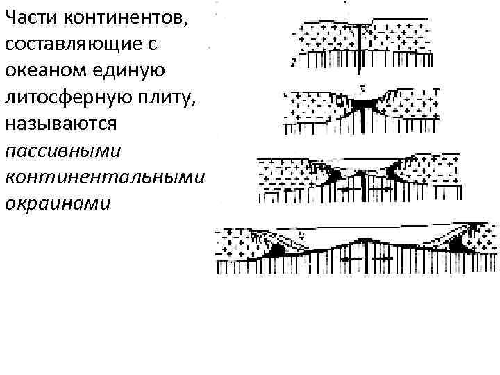 Части континентов, составляющие с океаном единую литосферную плиту, называются пассивными континентальными окраинами 